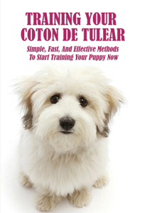 Training Your Coton de Tulear