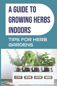 Guide to Growing Herbs Indoors