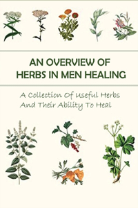 An Overview Of Herbs In Men Healing