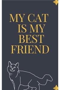 MY CAT IS MY best friend notebook