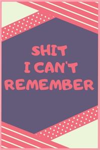 Shit I Can't Remember