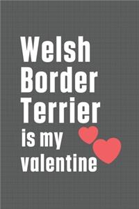 Welsh Border Terrier is my valentine