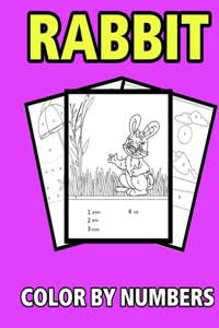 Rabbit color by numbers