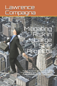 Mitigating Risk in Large SAP Projects