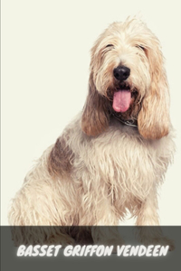 Basset Griffon Vendeen