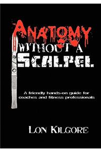 Anatomy Without a Scalpel