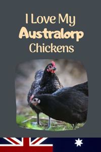 I Love My Australorp Chickens