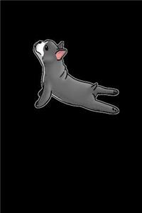 Bulldog Yoga