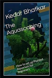 The Aquascaping