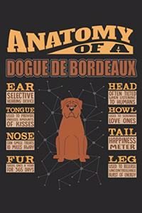 Anatomy Of A Dogue de Bordeaux