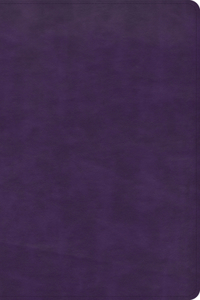 CSB Thinline Bible, Plum LeatherTouch
