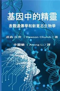 ??????the Traditional Chinese Edition of the Genie in Your Genes