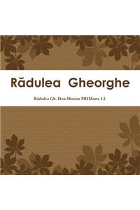 Rădulea Gheorghe