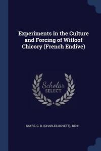 Experiments in the Culture and Forcing of Witloof Chicory (French Endive)