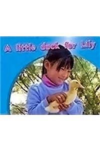 Little Duck for Lily