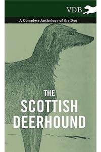Scottish Deerhound - A Complete Anthology of the Dog