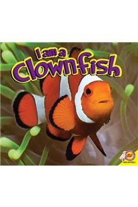 I Am a Clownfish
