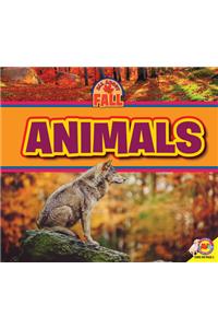 Animals