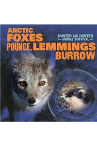 Arctic Foxes Pounce, Lemmings Burrow