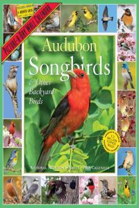Audubon Songbirds and Other Backyard Birds Picture-A-Day Calendar 2018