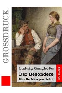 Der Besondere (Großdruck)