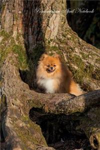 Pomeranian April Notebook Pomeranian Record, Log, Diary, Special Memories, To Do List, Academic Notepad, Scrapbook & More