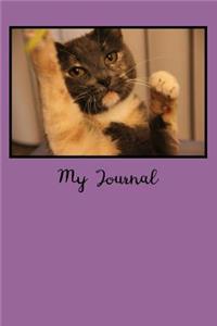 My Journal: Blank Lined Journal
