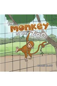 Monkey in the Zoo