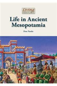 Life in Ancient Mesopotamia