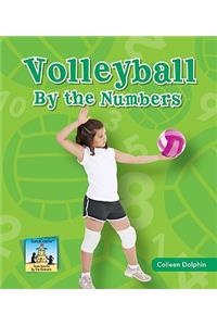 Volleyball by the Numbers