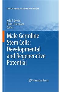 Male Germline Stem Cells