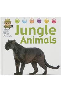 Jungle Animals