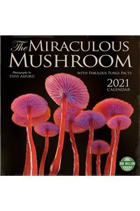 Miraculous Mushroom 2021 Wall Calendar