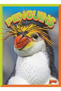 Penguins