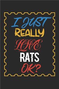 I Just Really love Rats Ok?