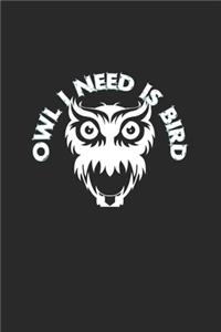 Owl I need is bird