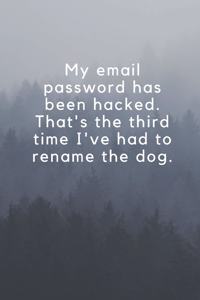 My email password has been hacked. That's the third time I've had to rename the dog.