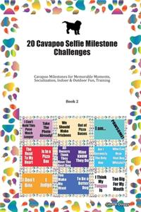 20 Cavapoo Selfie Milestone Challenges