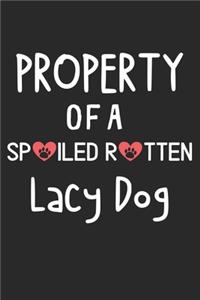 Property Of A Spoiled Rotten Lacy Dog