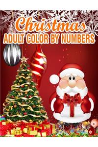 Christmas Adult Color By Numbers