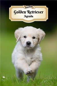 2020 Golden Retriever Agenda