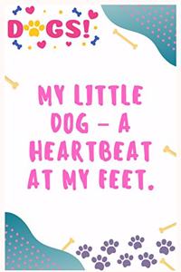 My little dog a heart beat at my feet
