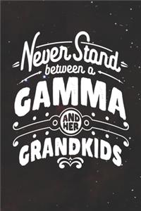Never Stand Between A Gamma And Her Grandkids