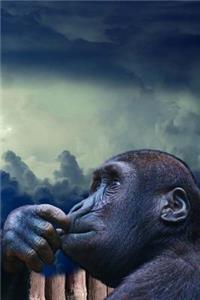Ape Notebook