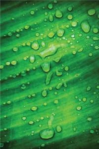 Dew Leaf Notebook