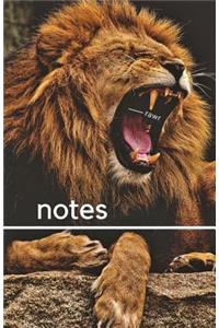 Notes