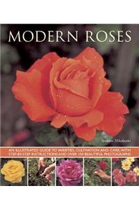 Modern Roses