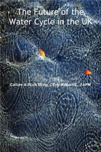 The Future of the Water Cycle in the UK