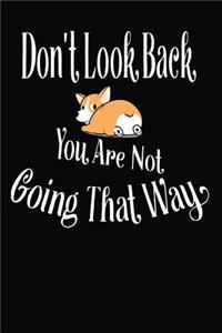 Don't Look Back You Are Not Going That Way