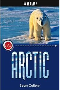 Wham! Arctic